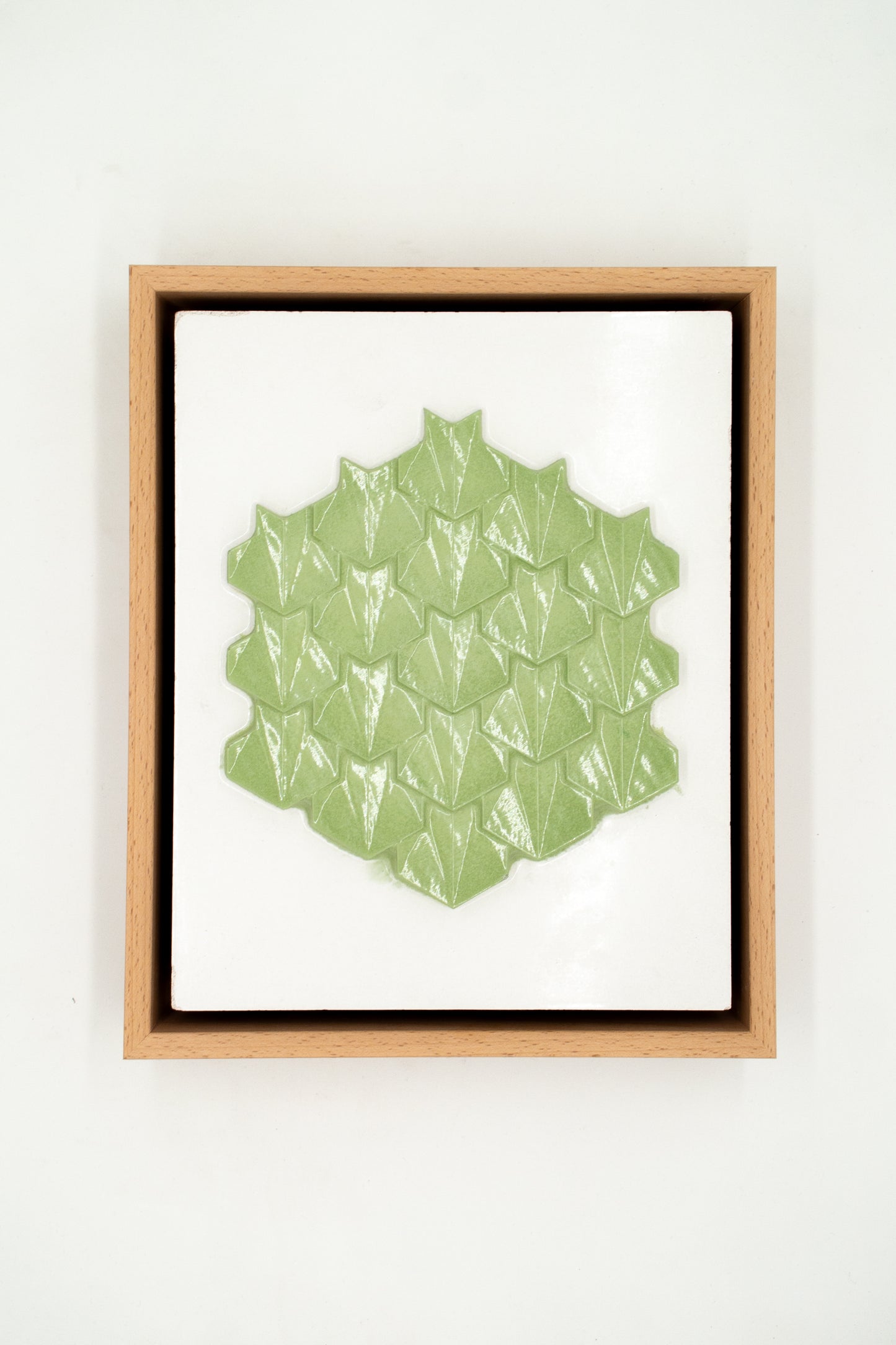 Zenith Hex garden