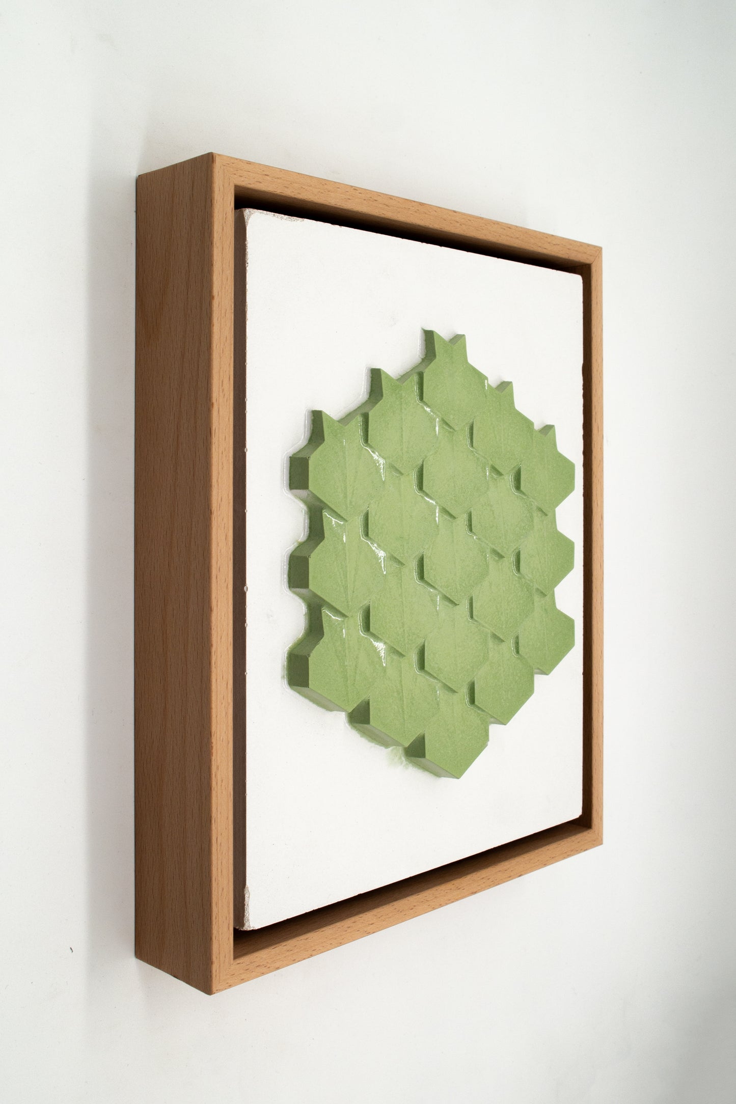 Zenith Hex garden