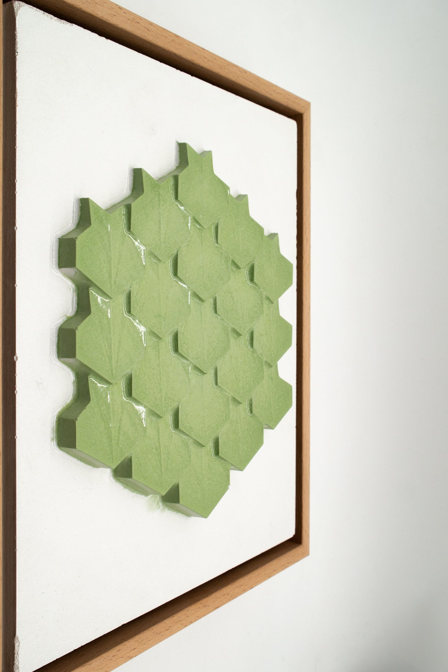Zenith Hex garden